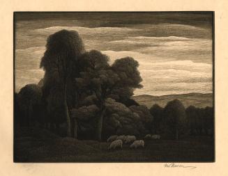 Landscape with sheep