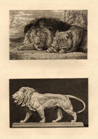 “Modern” lions, illustration for article “Lions in Art” by Miss E. L. Seeley