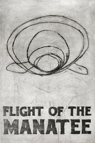 Flight of the Manatee