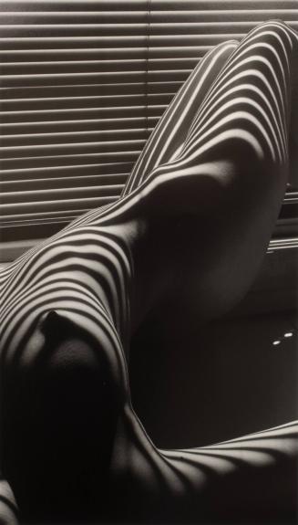 Zebra nude, New York, 1997