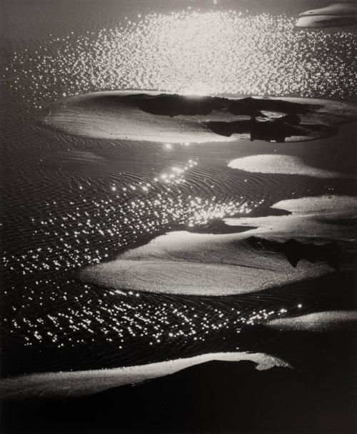 Plage de Camargue