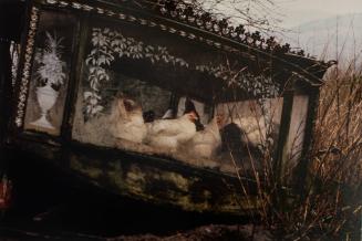 Hens in a Hearse, Mayo