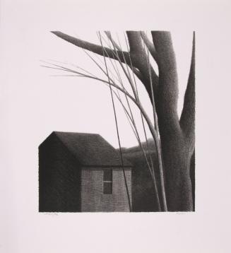 Bare Trees and Shed