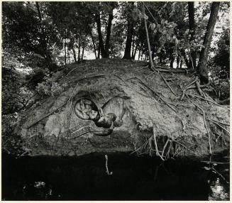 untitled [landscape with superimposed image of baby in womb]