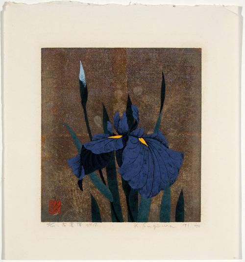 Irises No. 18
