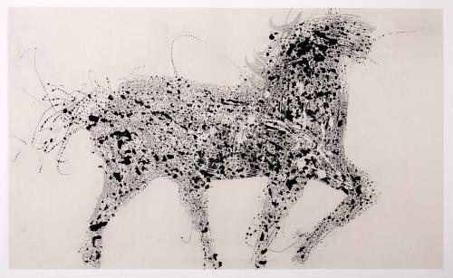 Horse as a Constellation