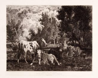 Landscape and Cattle