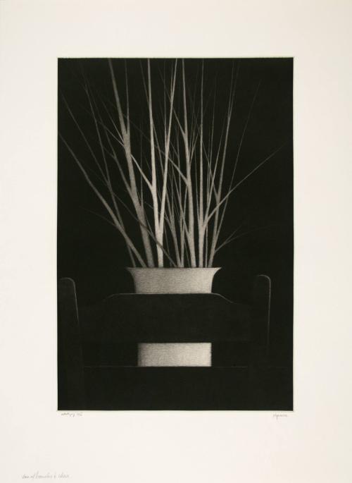 Vase with Branches and Chair