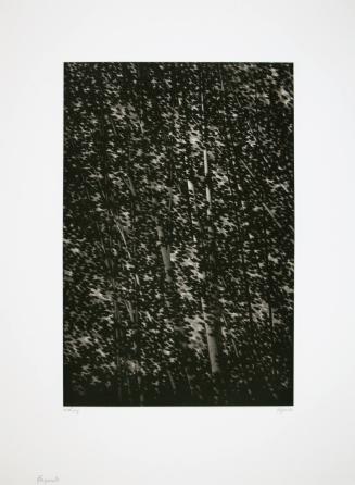 Fragments