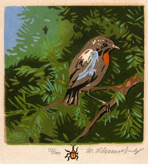 [Robin on an evergreen branch with remarque of a beetle]