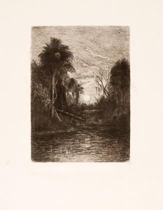 untitled [twilight with sunset (or moonrise) river, forest, palm trees]
