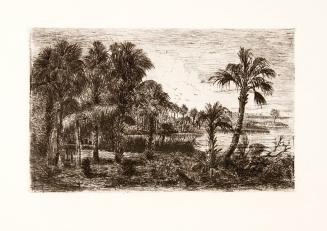 untitled [tropical landscape, lagoon, seabirds]