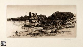 Rocks of Cape Ann