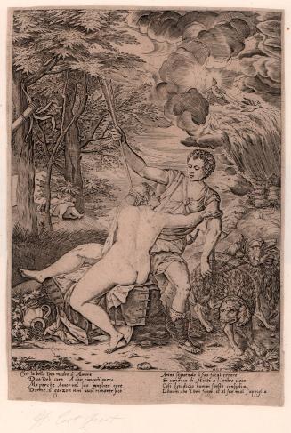 Venus and Adonis