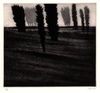 Slope w/ three dark trees