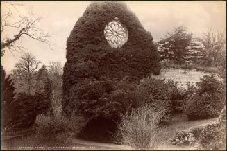 St. Catherine’s Window, Dryburgh Abbey