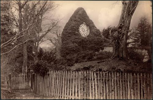 Dryburgh Abbey, St. Catherine’s Window. 260. J.V.