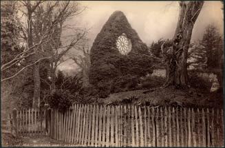 Dryburgh Abbey, St. Catherine’s Window. 260. J.V.