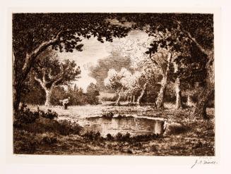 A Pool in the Woods