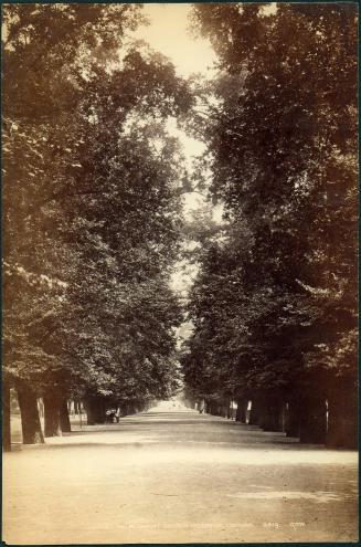 Broad Walk, Christ Church Meadows, Oxford. 3519. G. W.  W.