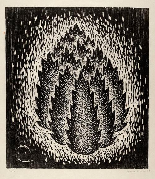 [Thicket]