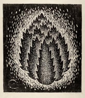 [Thicket]