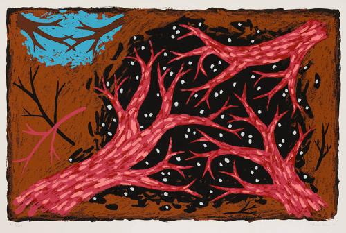 [Trees and starry sky]