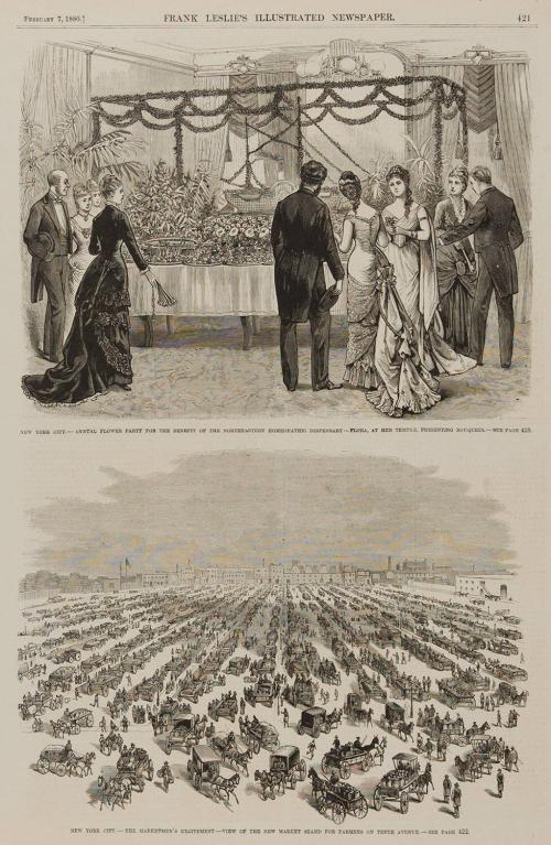 [Frank Leslie's Illustrated Newspaper, February 7, 1880, page 421]