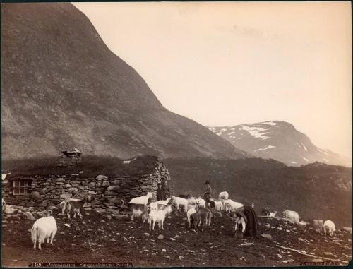 Jotunheimen, Skogadalsboens Saeter
