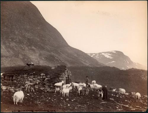 1426. Jotunheimen, Skogadalsboens Saeter