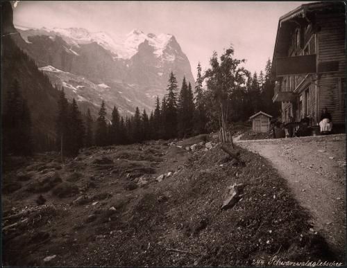 Schwarzwaldgletscher