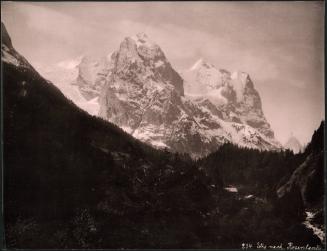 Wegnach Rosenlani