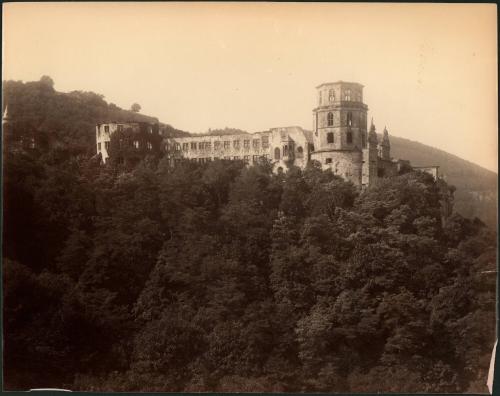 untitled, castle in forest