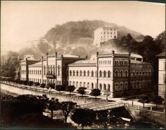 [Buildings along tree-lined street]