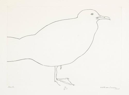 Gull [Seagull]