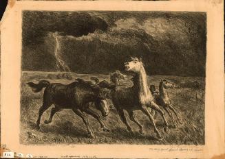 Horses Running Before a Storm