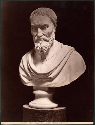 Roma -  Michelangelo Buonarrotti, Museo Capitolino