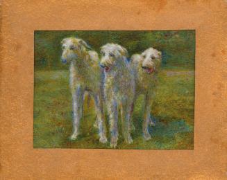 Anna Hyatt Huntington's Scottish Greyhounds