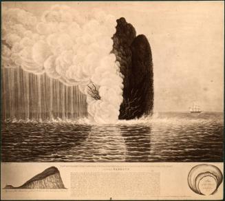 View of the Eruption off the N.W. Coast of the Island of St. Michael, which produced the Islet Named Sabrina