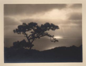 untitled [torrey pines, silhouette, landscape/ocean view, sunset]