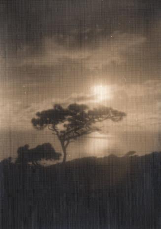 untitled [torrey pines, silhouette, landscape/ocean view, sunset]