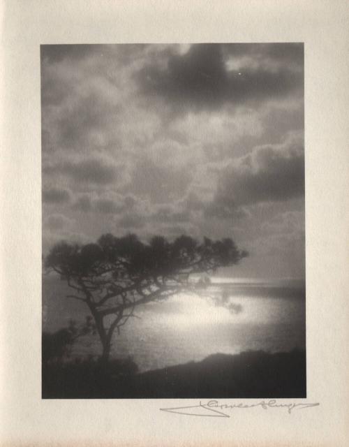 untitled [torrey pines, silhouette, landscape/ocean view, sunset]