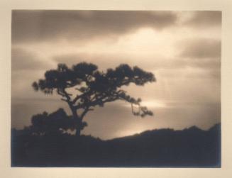 untitled [torrey pines, silhouette, landscape/ocean view, sunset]