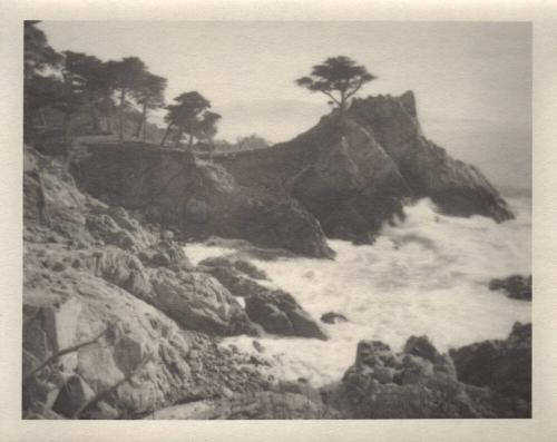 Monterey [cypress trees, coast/surf]