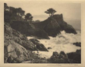 Monterey [cypress trees, coast/surf]