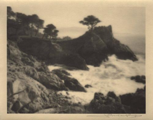 Monterey [cypress trees, coast/surf]