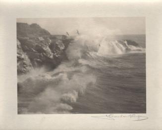 untitled [California coast, surf, seagulls]