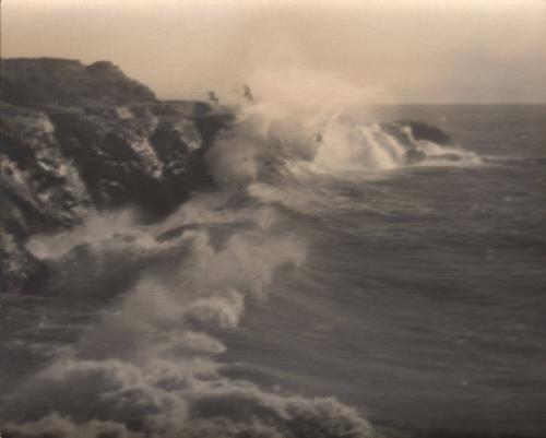 untitled [California coast, surf, seagulls]