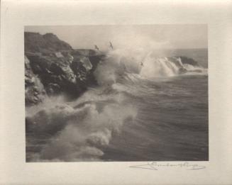 untitled [California coast, surf, seagulls]