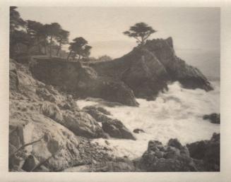 Monterey [cypress trees, coast/surf]